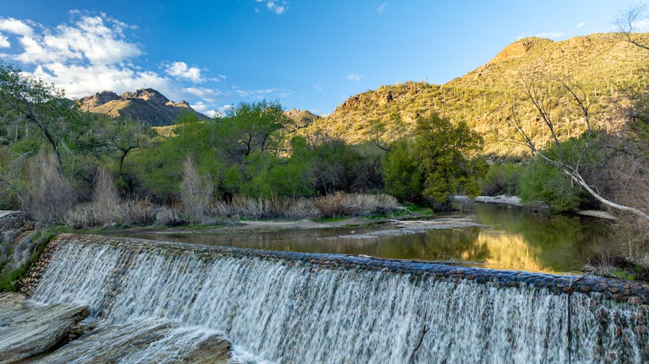 Sabino Canyon, Tucson