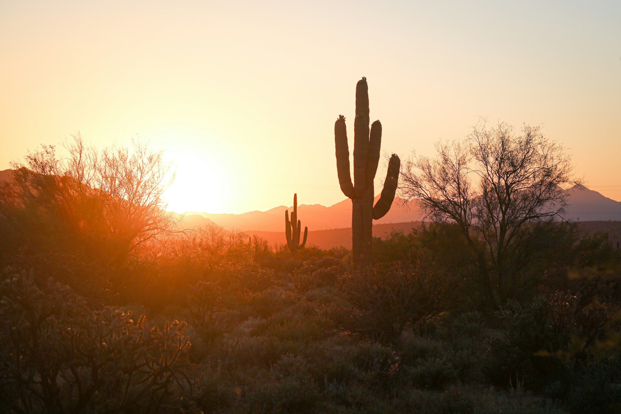 Sonoran Desert, Carefree