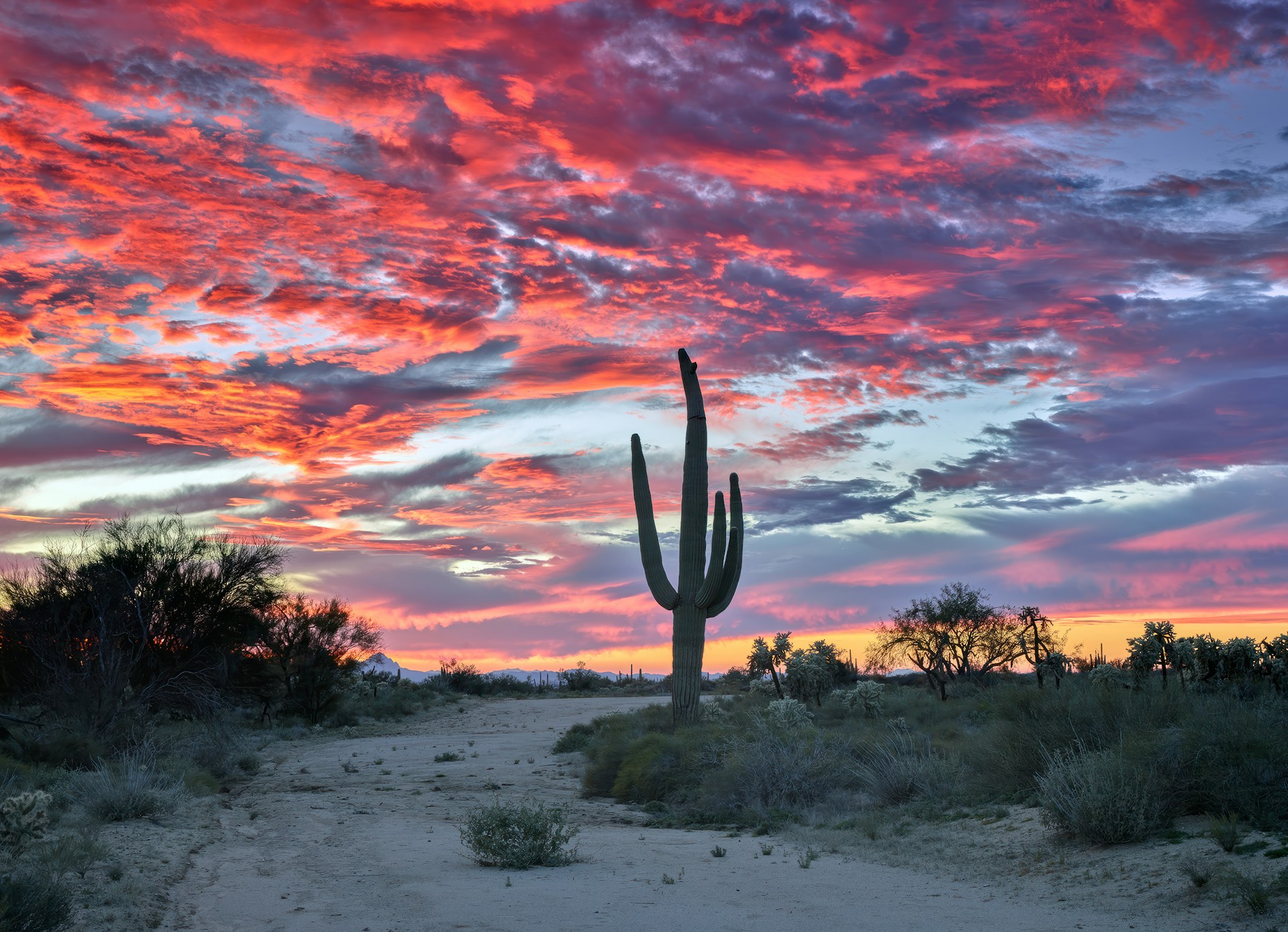 Tortolita Mountains, Dove Mountain